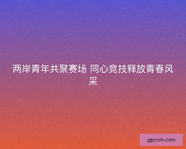 两岸青年共聚赛场 同心竞技释放青春风采